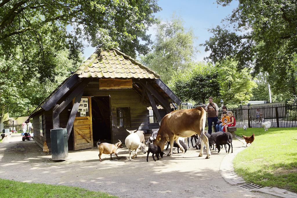 Center Parcs Meerdal Limburg-Brabant America Eksteriør bilde