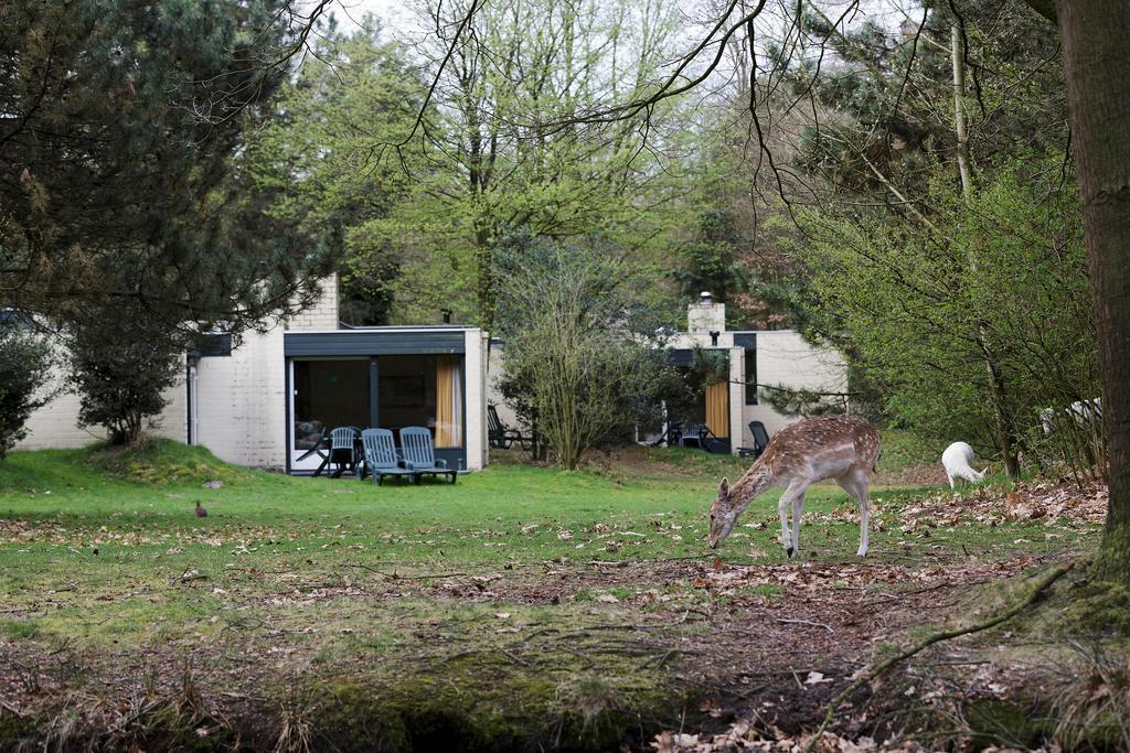 Center Parcs Meerdal Limburg-Brabant America Rom bilde